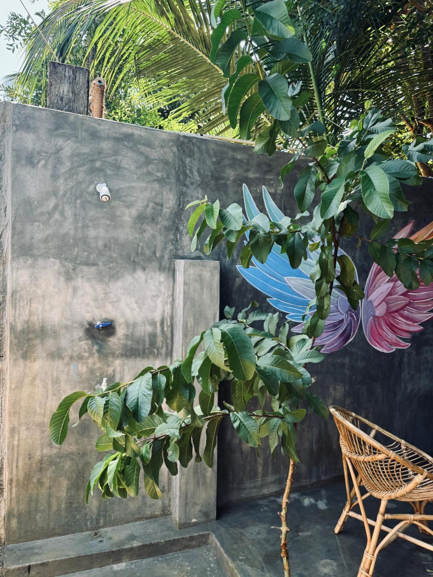 Dreamy Hostel Arugambay آروغام المظهر الخارجي الصورة