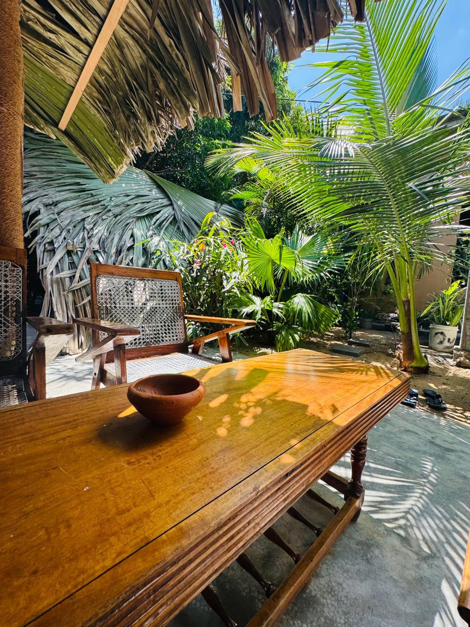 Dreamy Hostel Arugambay آروغام المظهر الخارجي الصورة