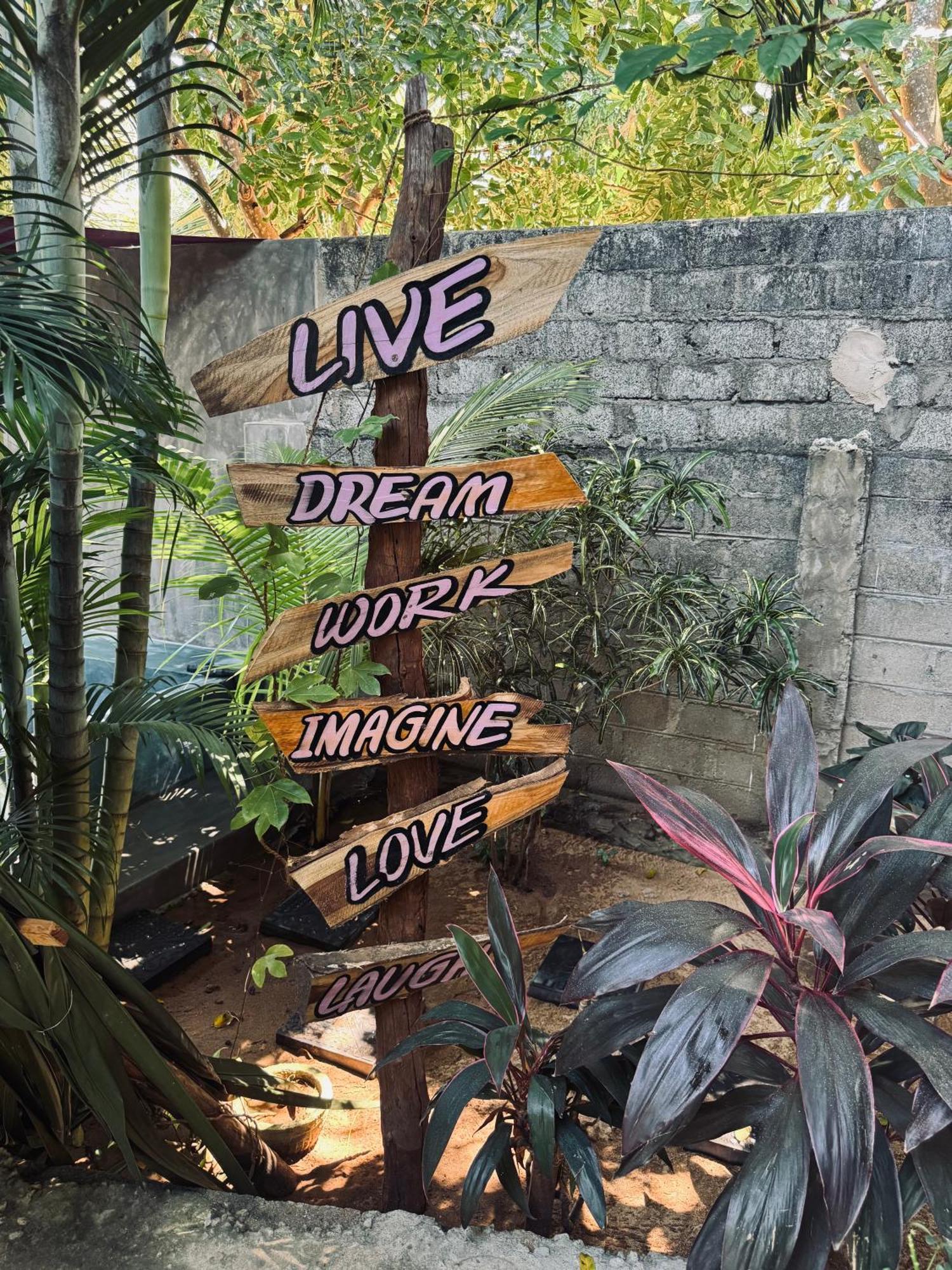 Dreamy Hostel Arugambay آروغام المظهر الخارجي الصورة