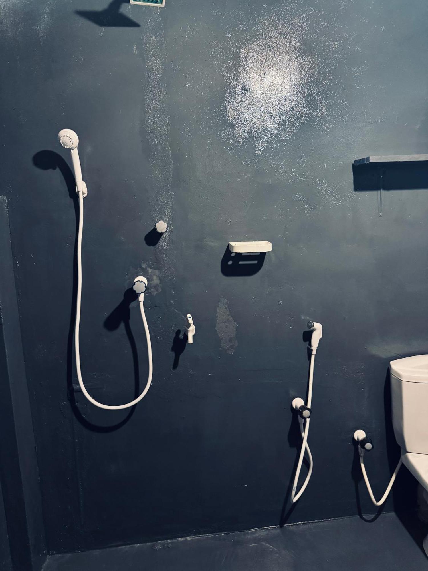 Dreamy Hostel Arugambay آروغام المظهر الخارجي الصورة